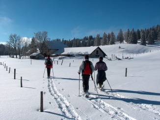 Ballade en raquettes - Arrive  la Grand-Vy